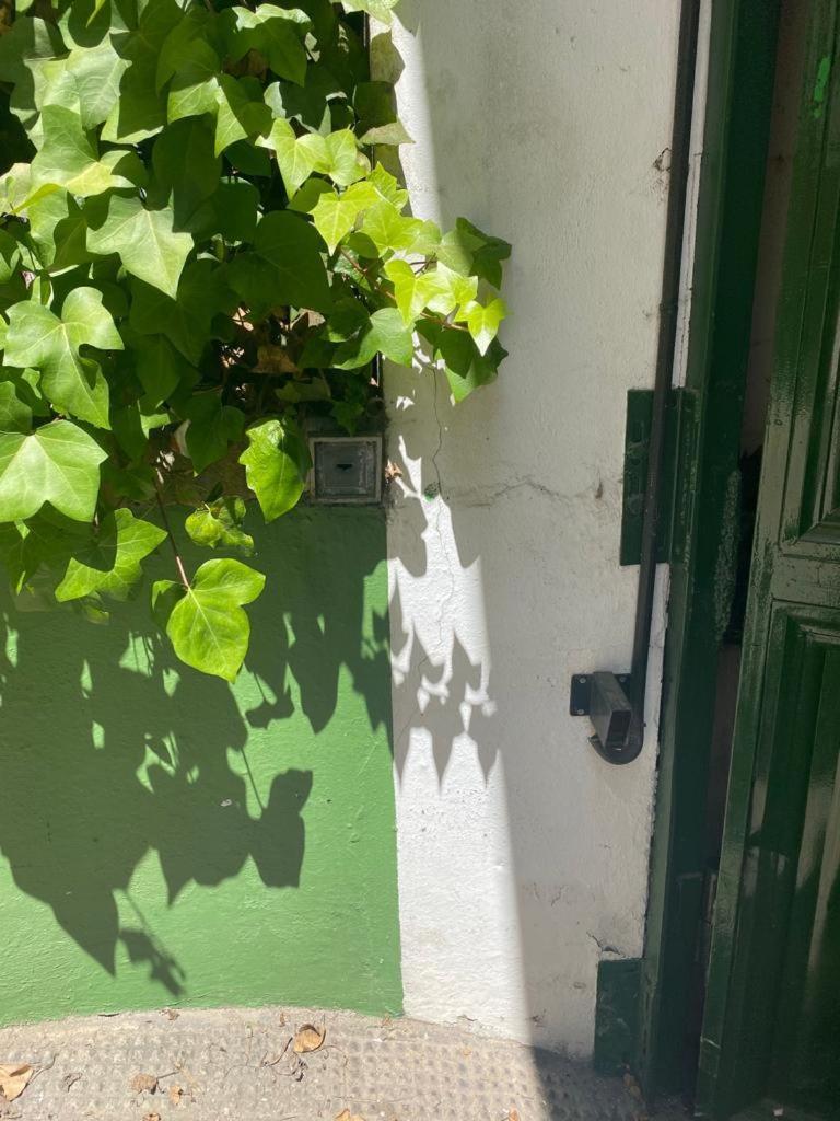 Rentalsevilla San Clemente Extérieur photo