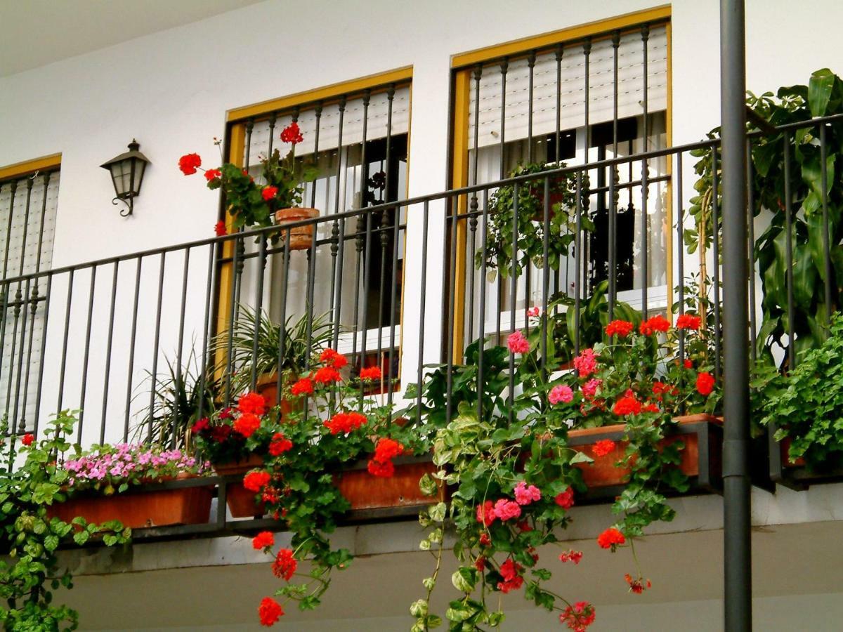 Rentalsevilla San Clemente Extérieur photo